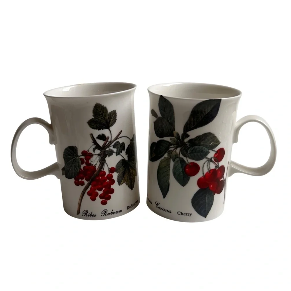 Set of 6 Dunoon Fruit Blenheim Mugs Bone China England